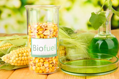 Amesbury biofuel availability
